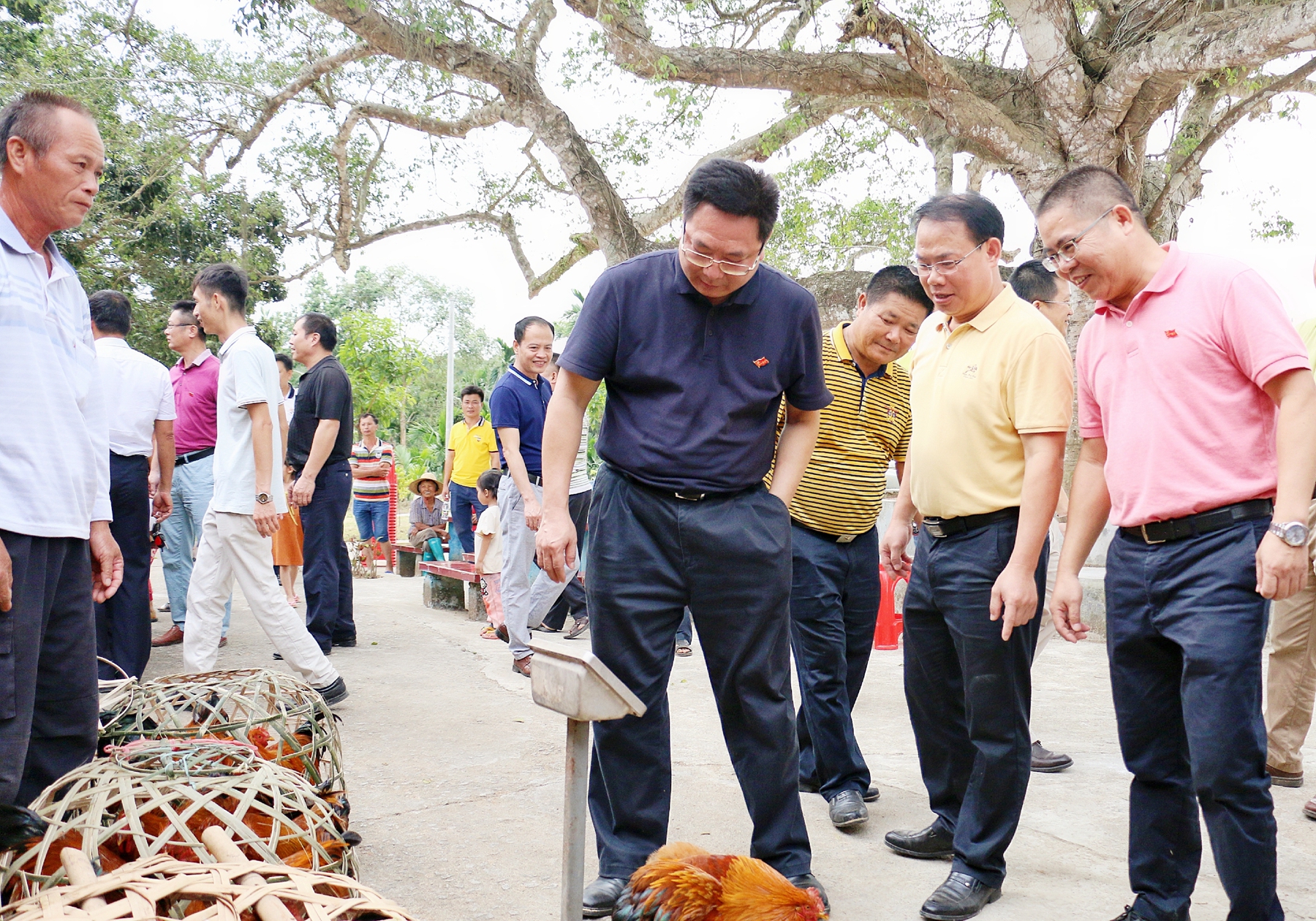 OB视讯·(中国)官方平台